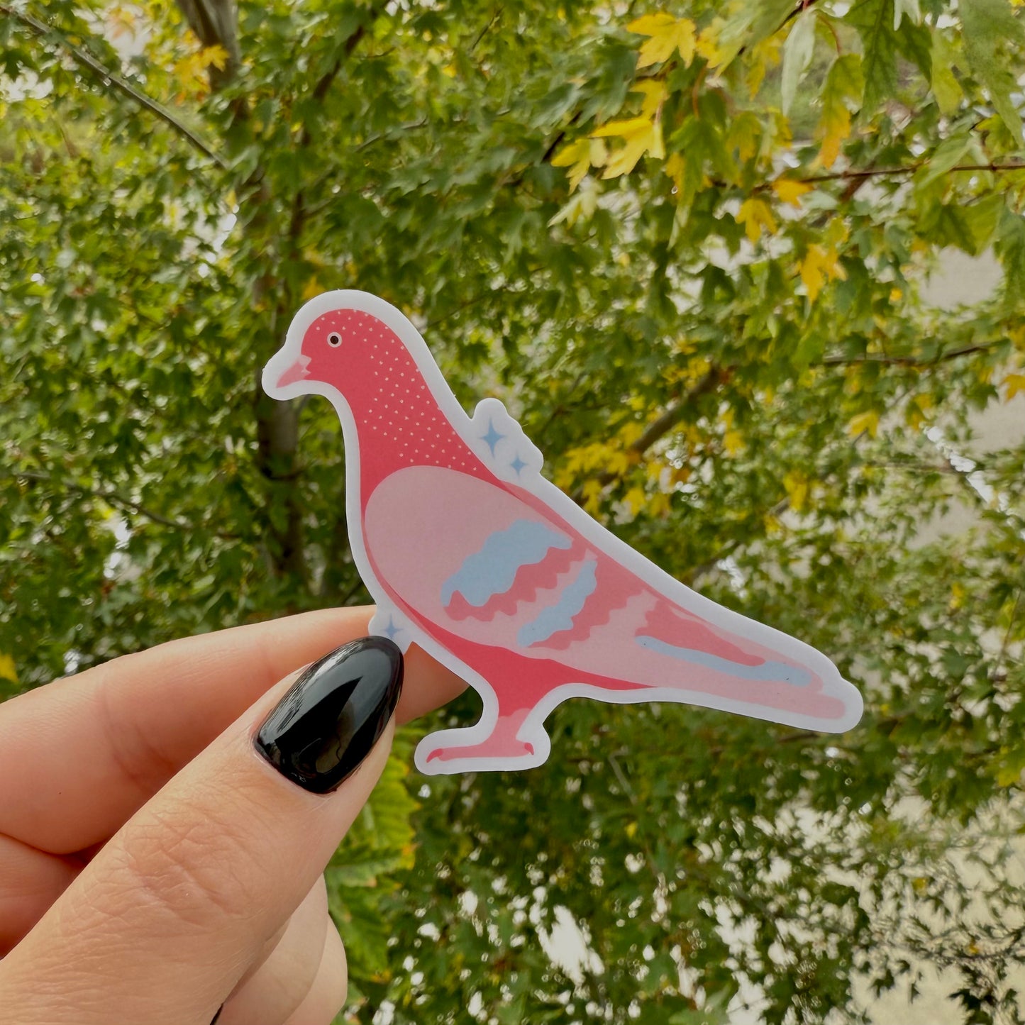 Pigeon Sticker